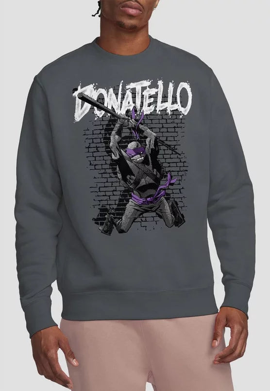 Tmnt Tmnt Donatello Crew Sweatshirt, Charcoal