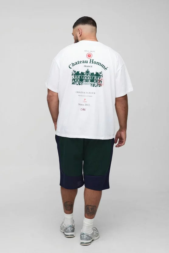 Plus Oversized Chateau Print T-Shirt